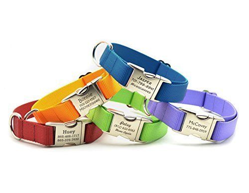 HEAVY DUTY Nylon Webbing Dog Collar with Laser Engraved Personalized Buckle | Amazon (US)