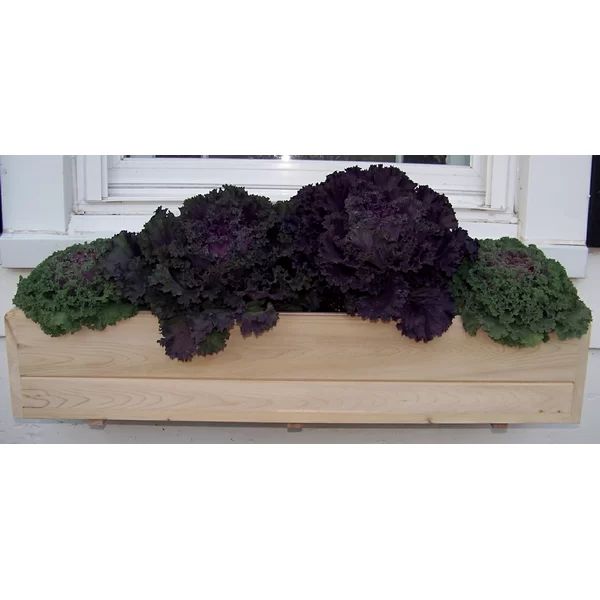 Nevels Cedar Window Box Planter | Wayfair North America