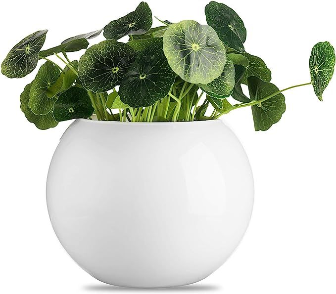 MyGift 7-inch Decorative Small Round Glazed White Succulent Greenery Planter/Glass Flower Vase | Amazon (US)