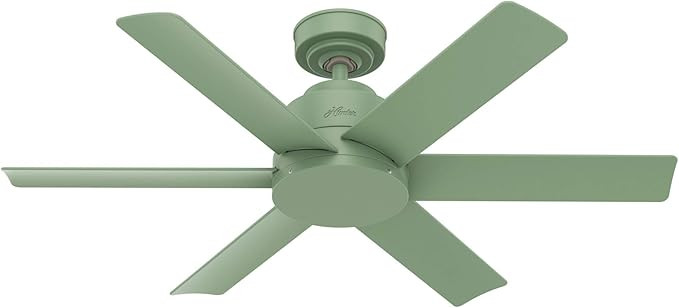 Amazon.com: Hunter Fan Company 59612 Hunter Kennicott Indoor, Outdoor Ceiling Fan with Wall Contr... | Amazon (US)