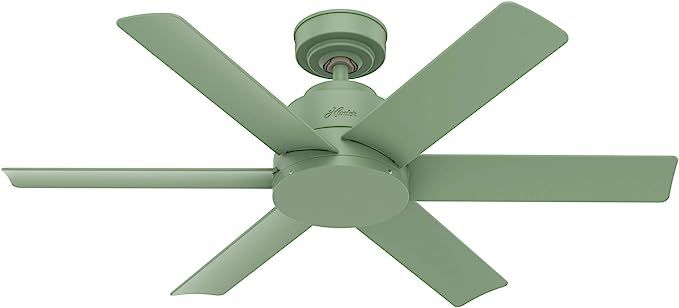 Amazon.com: Hunter Fan Company 59612 Hunter Kennicott Indoor, Outdoor Ceiling Fan with Wall Contr... | Amazon (US)