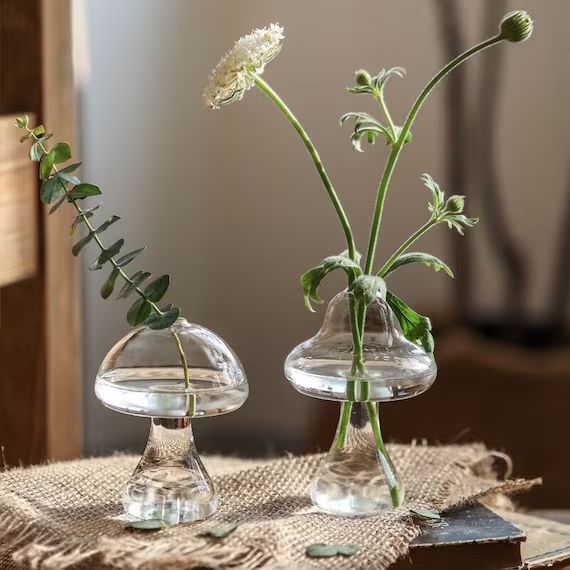 Mushroom Shaped Vase Mushroom Drinking Glass Cute Flower Pot | Etsy | Etsy (US)