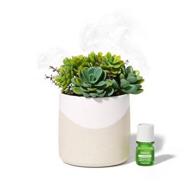 Lifelines Planter Diffuser - Succulent | Target