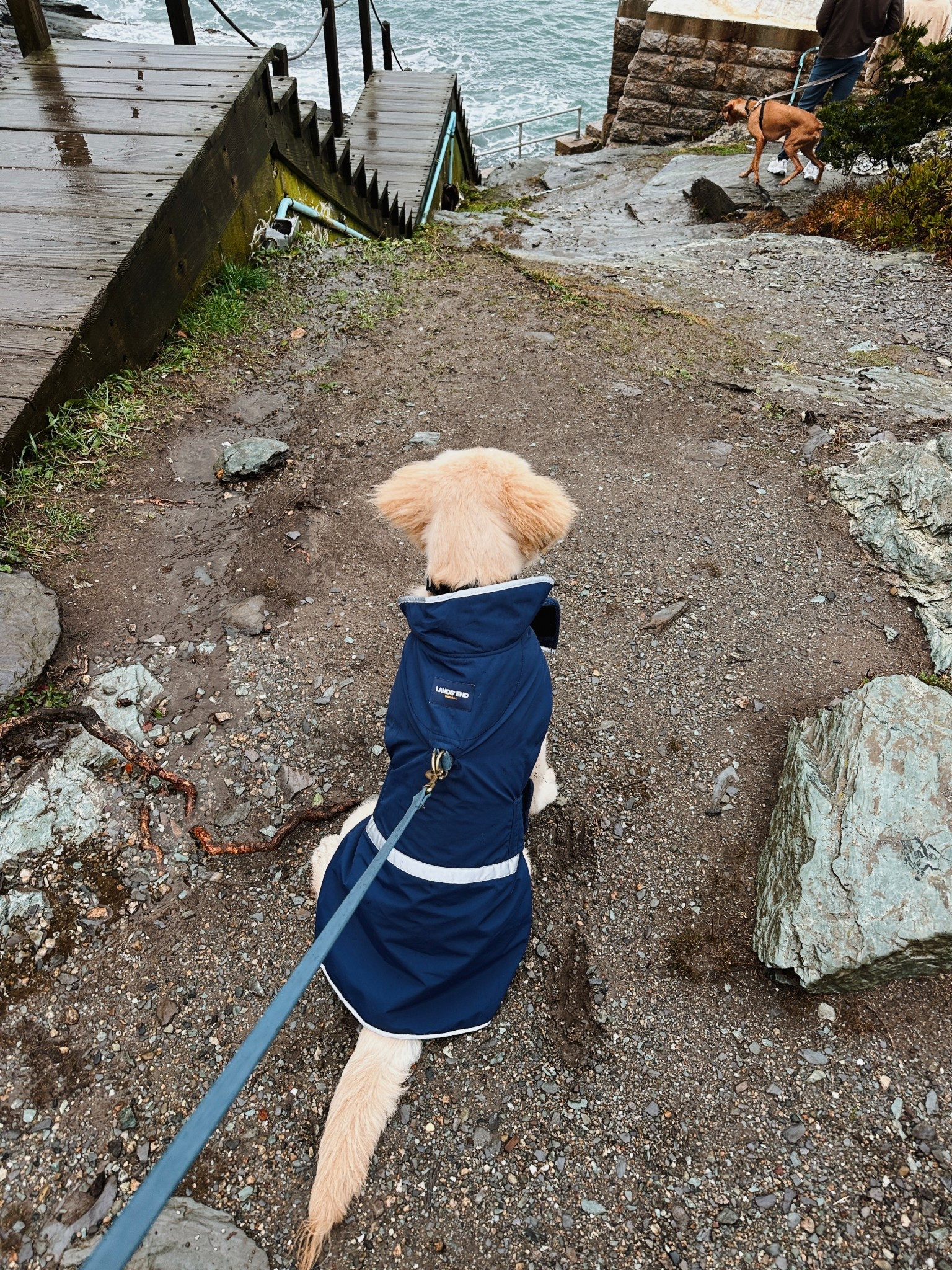 Fleece lined water resistant jacket for Otis!