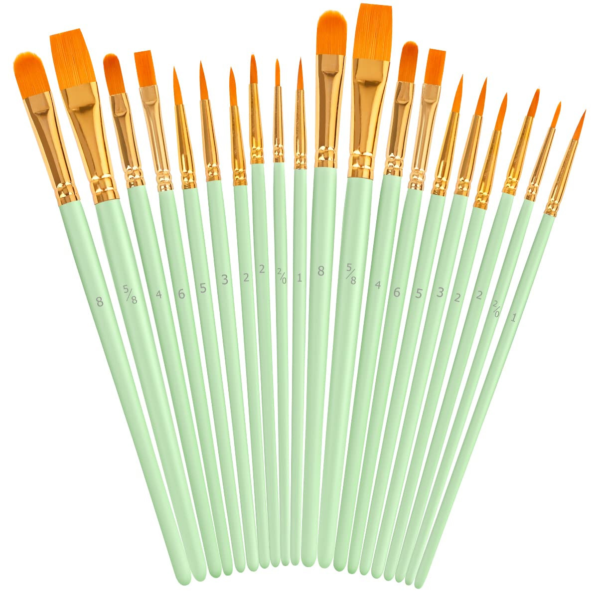 Soucolor Acrylic Paint Brushes Set, 20Pcs Round Pointed Tip Artist Paintbrushes for Acrylic Paint... | Amazon (US)