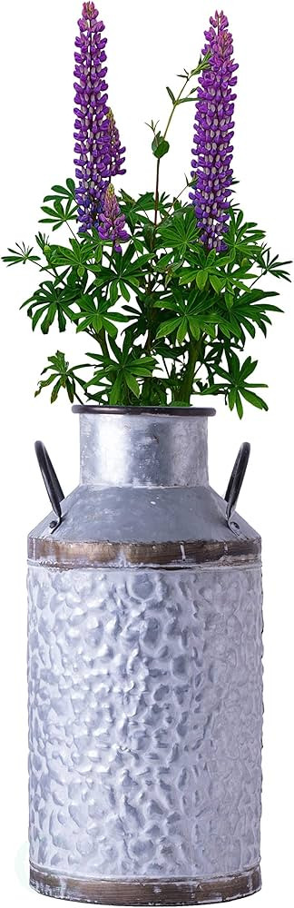 Vintiquewise Rustic Farmhouse Style Galvanized Metal Milk Can Decoration Planter and Vase, Large | Amazon (US)
