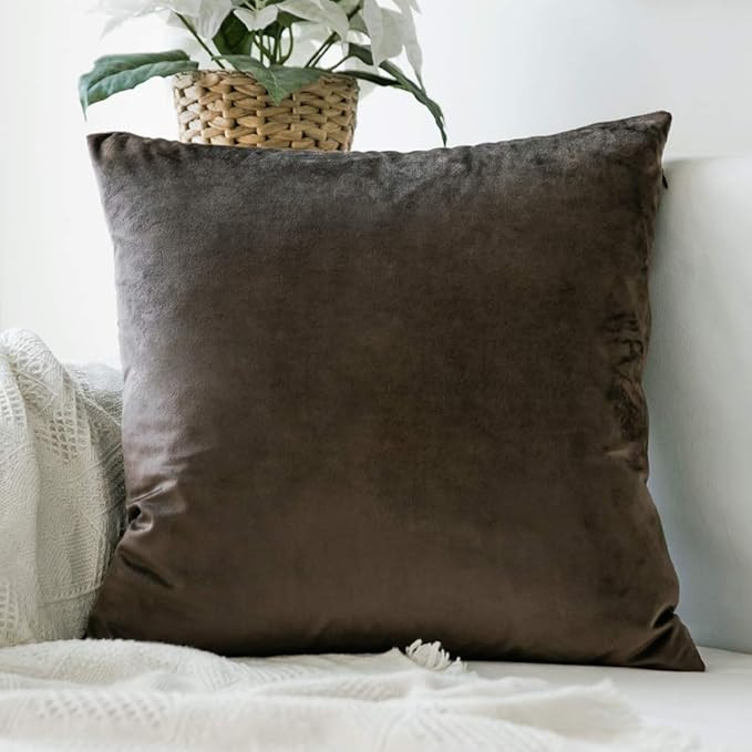 MIULEE Dark Coffee Velvet Throw Pillow Cover Soft Decorative Pillow Cover Square Cushion Case Home D | Amazon (US)