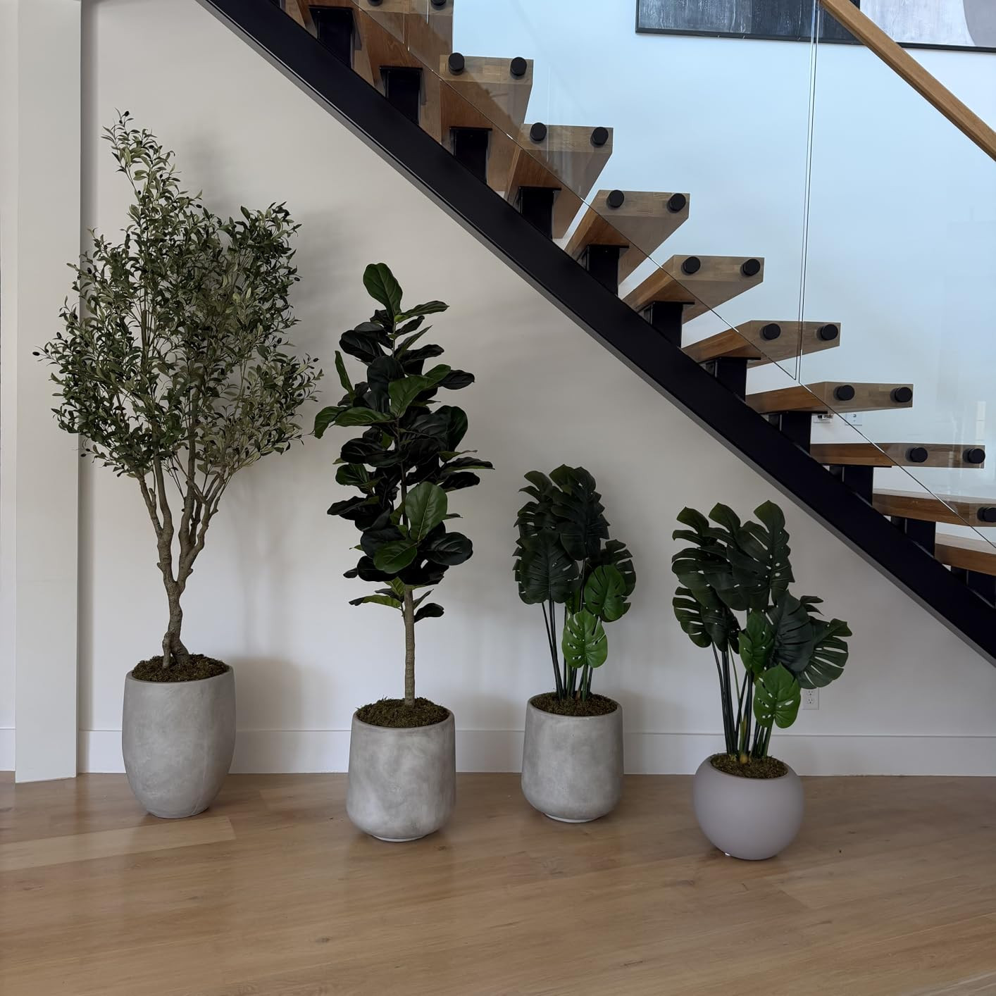 Jocoevol Artificial Olive Tree 6FT, Faux Olive Tree with Natural Wood Trunk & Realistic Leaves & ... | Amazon (US)