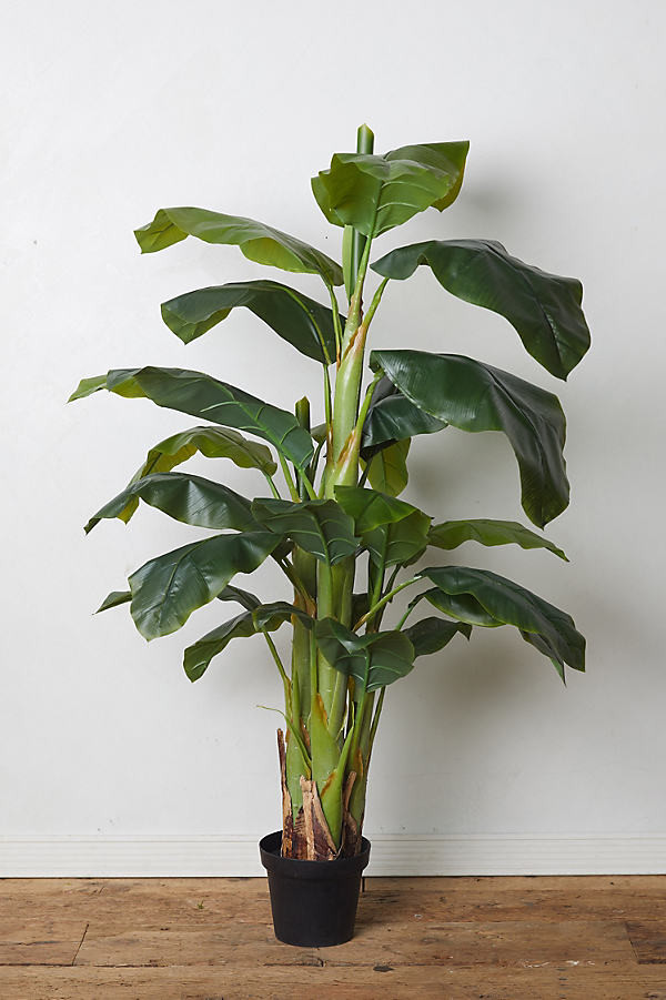 Faux Banana Leaf Tree By Terrain in Assorted | Anthropologie (US)