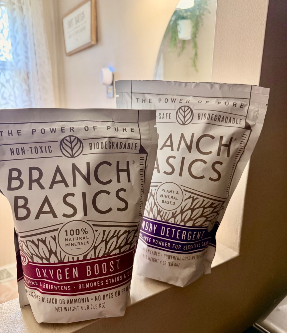 Great time to stock up or try the best cleaning supplies #laundry #dish #sale #kitchen #home #bath #branchbasics 

#LTKHome #LTKSaleAlert