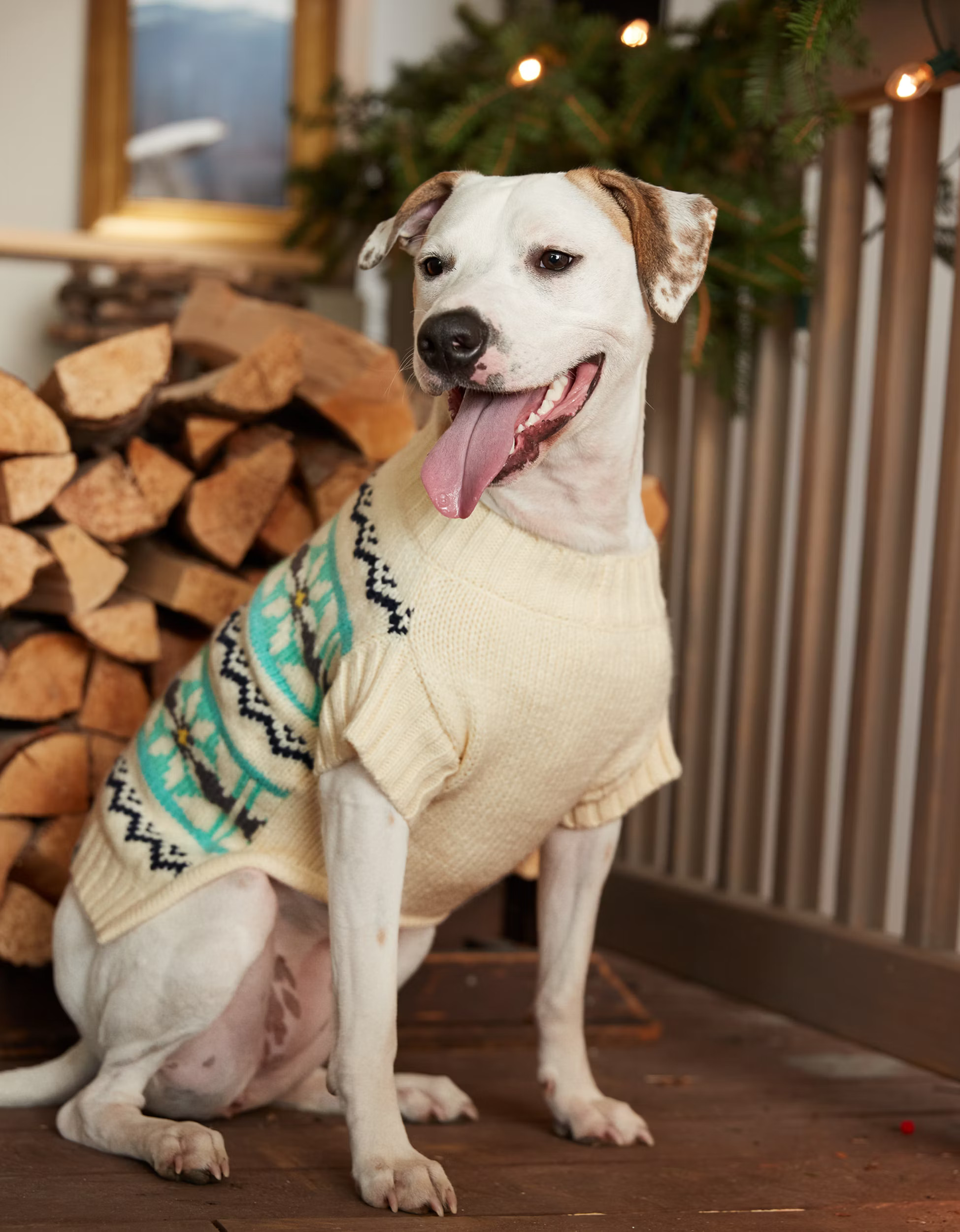 ABO Fairisle Dog Sweater | American Eagle Outfitters (US & CA)