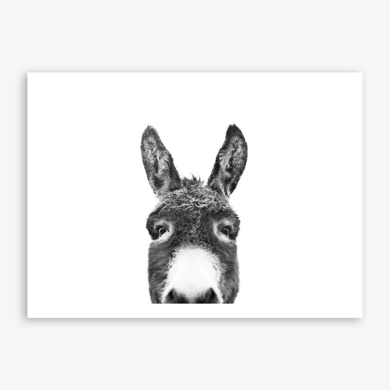 Hello Donkey Art Print | Fy! (UK)