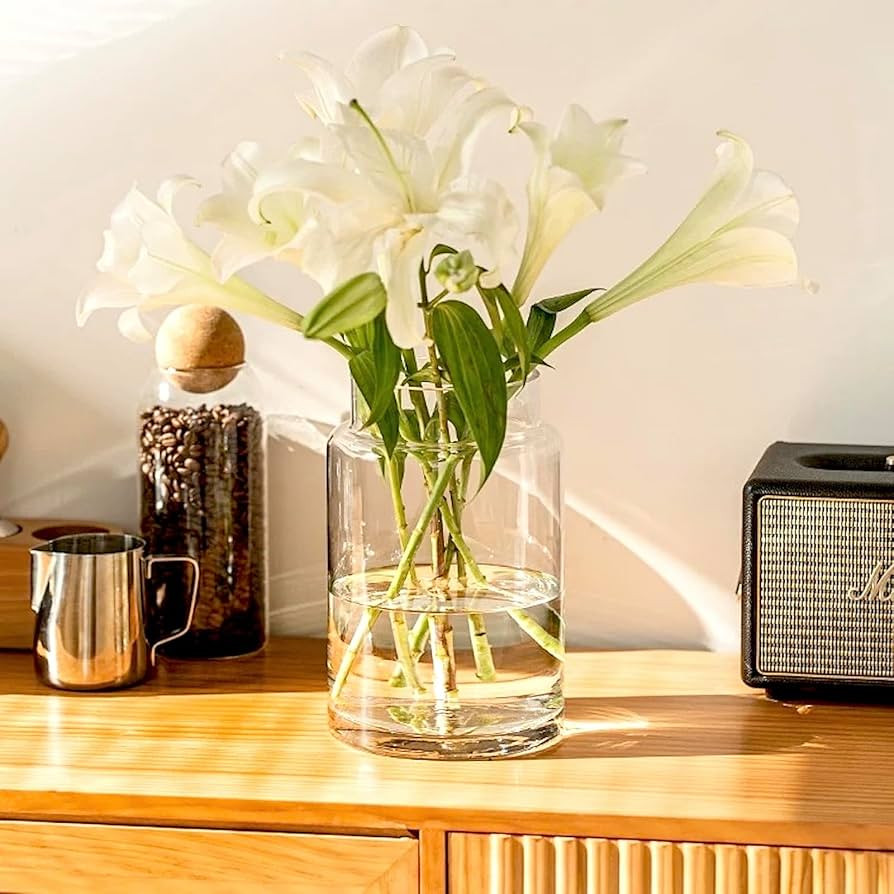 BLOFLO Clear Glass Vase, 9 Inch Large Glass Vase for Flowers, Modern Thick Glass Flower Vases for... | Amazon (US)