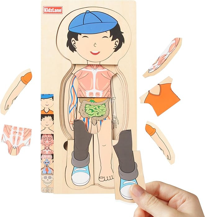 Kidzlane Wooden My Body Puzzle for Toddler - 5-Layer Human Anatomy Puzzle - Real Wood - Multicolo... | Amazon (US)