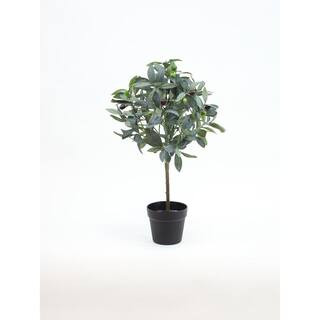 24 inch Green, Artificial Olive Tree in Black Drop In Pot YPT01042 - The Home Depot | The Home Depot