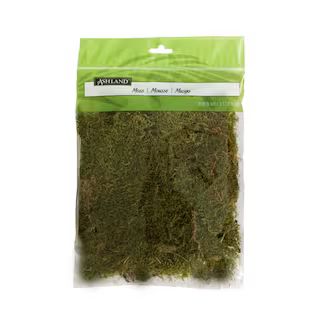 Ashland® Flat Moss—Natural | Michaels Stores