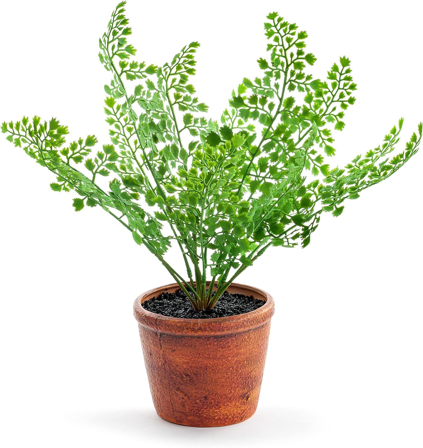 DEMDACO Maiden Hair Fern Cheerful Green 16 inch Terracotta Faux Potted Plant | Amazon (US)