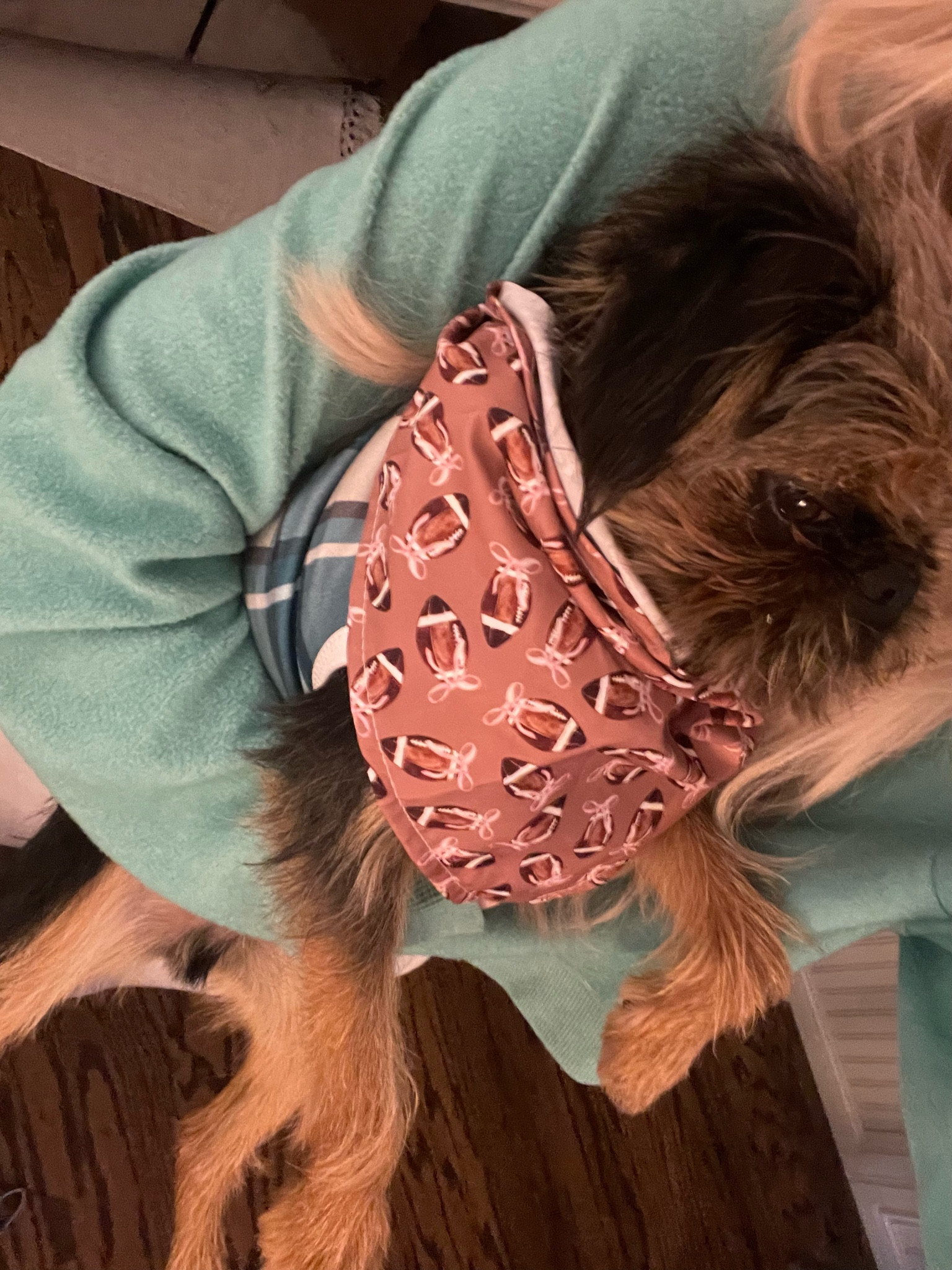 Cutest football bandana! Sharing in case anyone wants to snag before next season!

#LTKfamily #LTKstyletip #LTKSeasonal