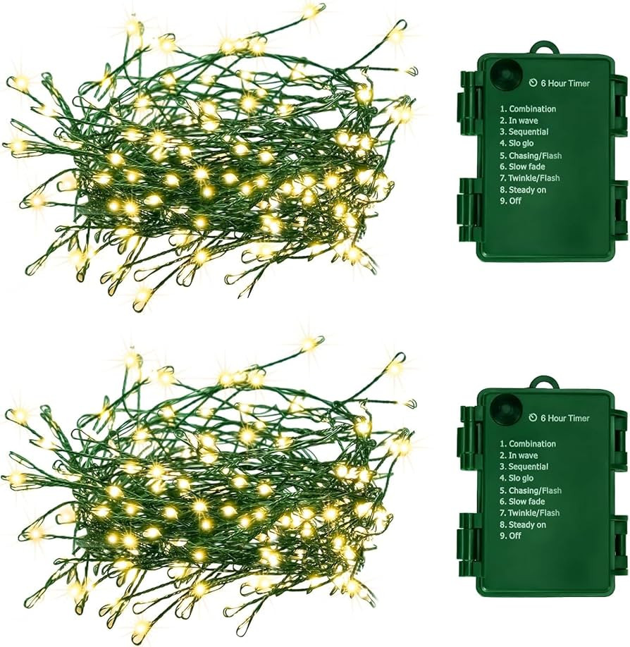Outdoor Fairy Lights Battery Operated,20Ft 200LED Green Copper Wire Cluster Lights with Timer,Twi... | Amazon (US)