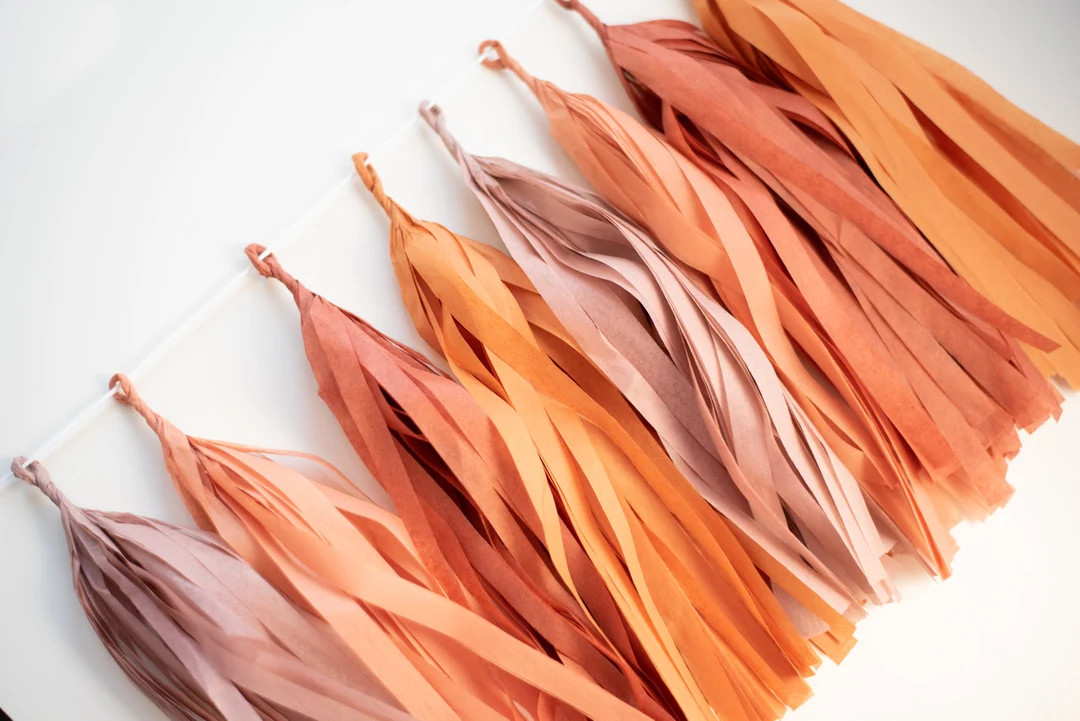 Boho Tissue Tassel Garland, Boho 1st Birthday, Boho Party Decor, Boho Baby Shower, Boho Bachelore... | Etsy (US)