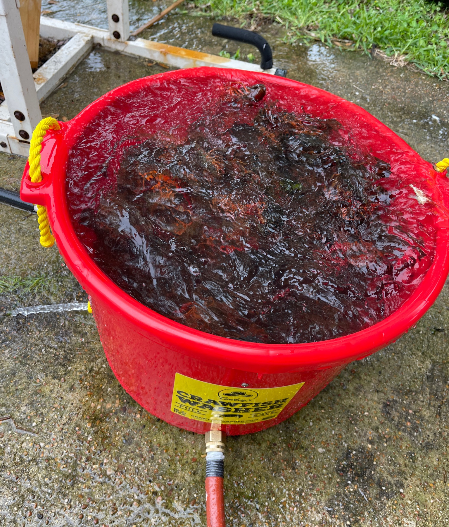 Get ready for crawfish season! This is the BEST washer!

#LTKHome #LTKFindsUnder100 #LTKParties