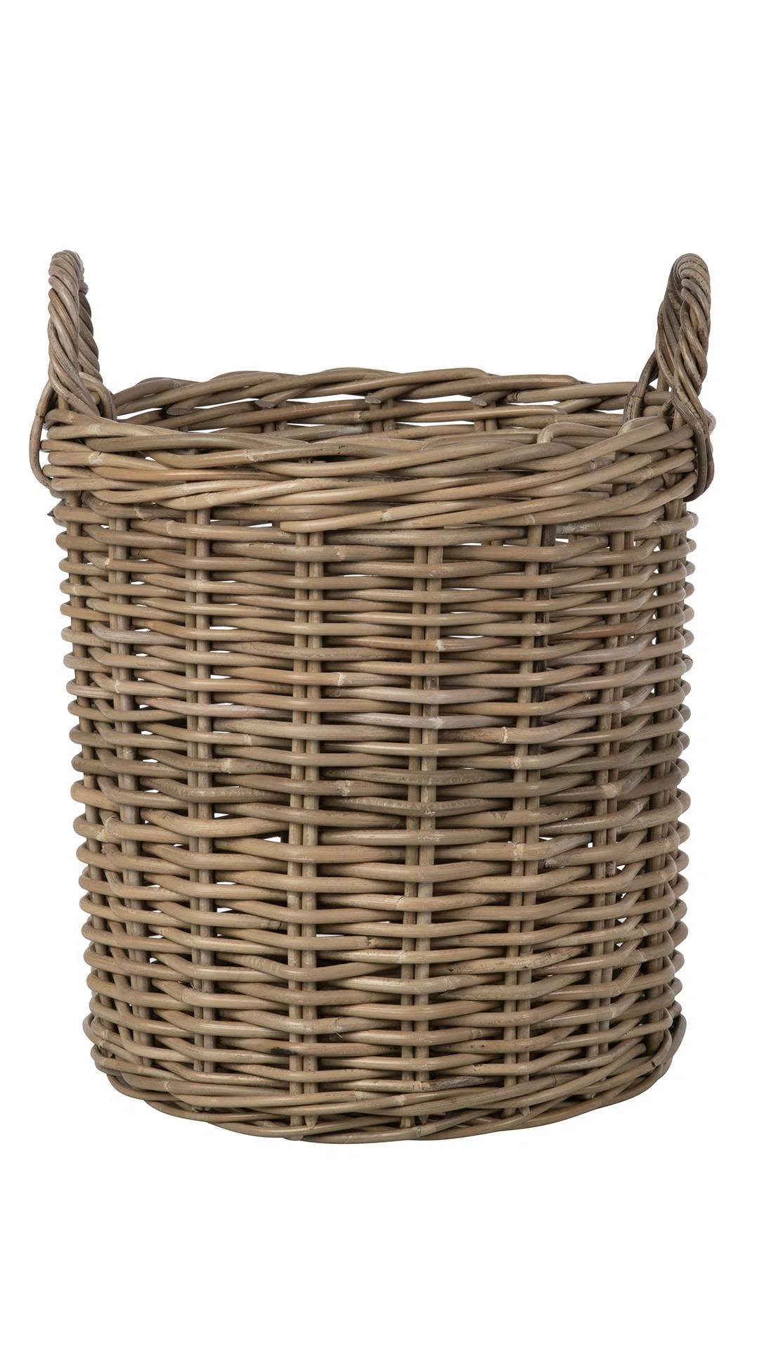 Beachcrest Home™ Ayriauna Rattan Basket & Reviews | Wayfair | Wayfair North America