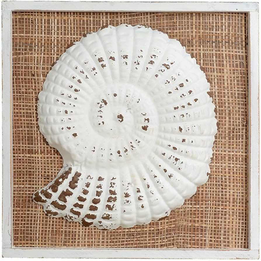 BLACK FOREST DECOR Island Shells Sea Snail Wall Art | Amazon (US)