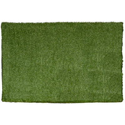 American Home Outdoor Artificial Grass Turf Rug / Roll | Wayfair North America