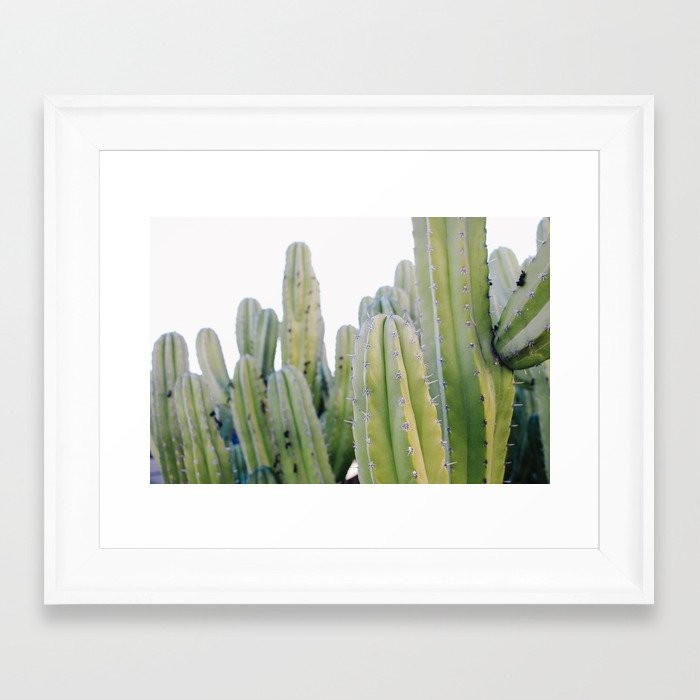 Palm Springs Cactus Framed Art Print | Society6