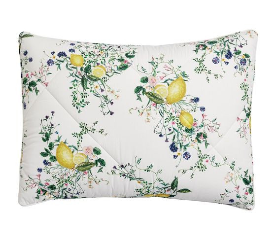 Monique Lhuillier Positano Percale Comforter Sham | Pottery Barn (US)