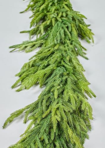 Afloral Real Touch Deluxe Norfolk Pine Garland - 70" | Amazon (US)