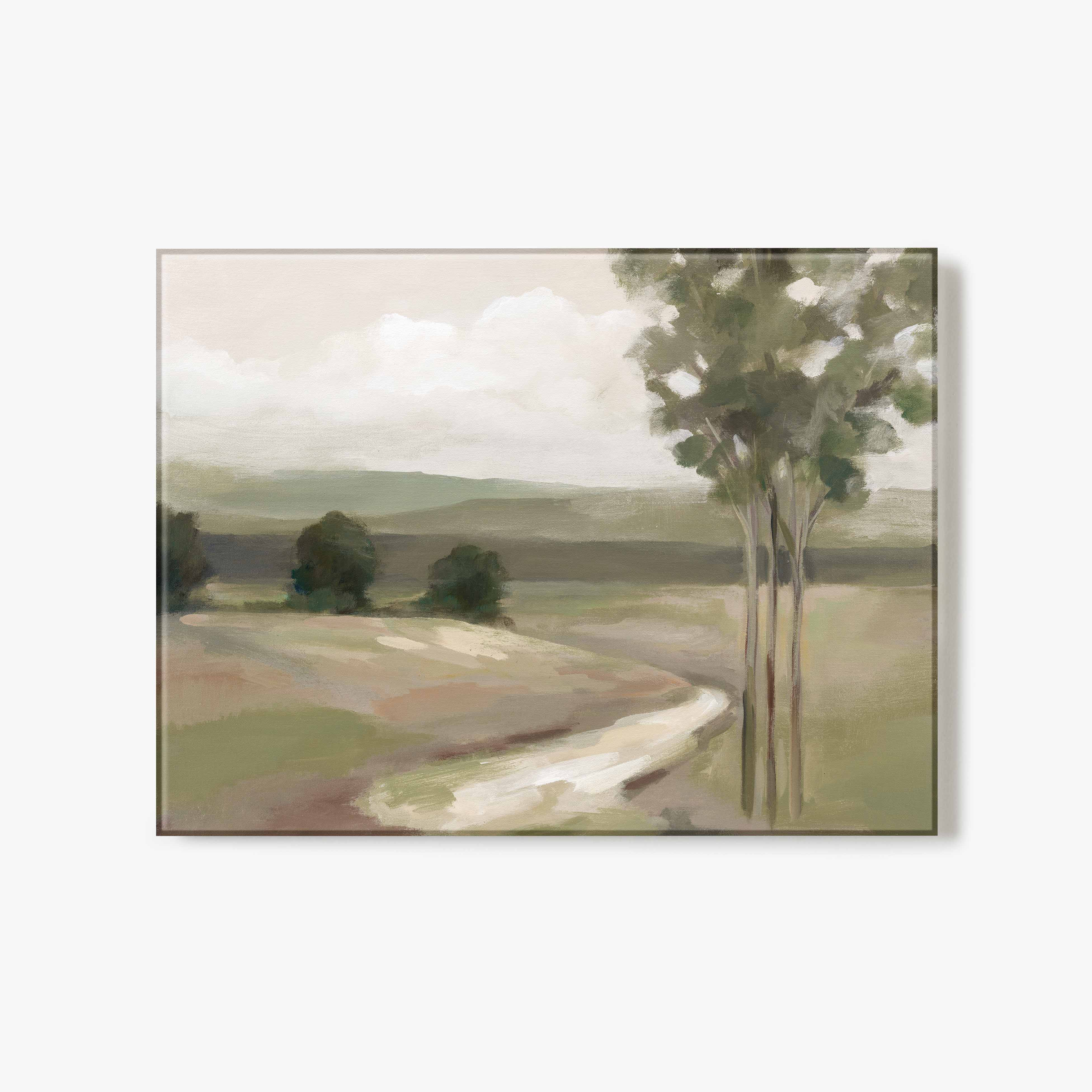 Olive Trees | Fracture