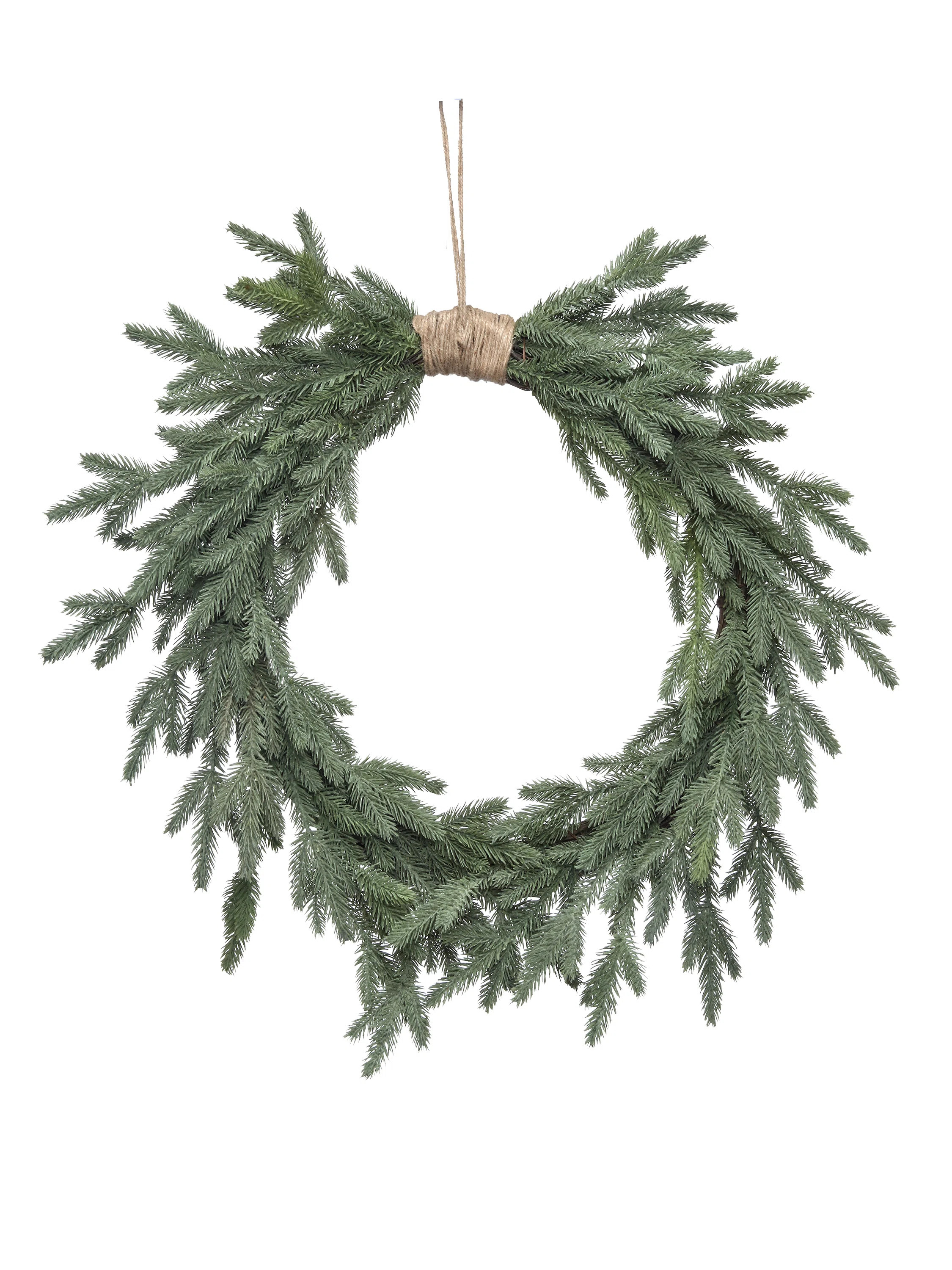 24.02" Polyvinyl Chloride Wreath | Wayfair North America