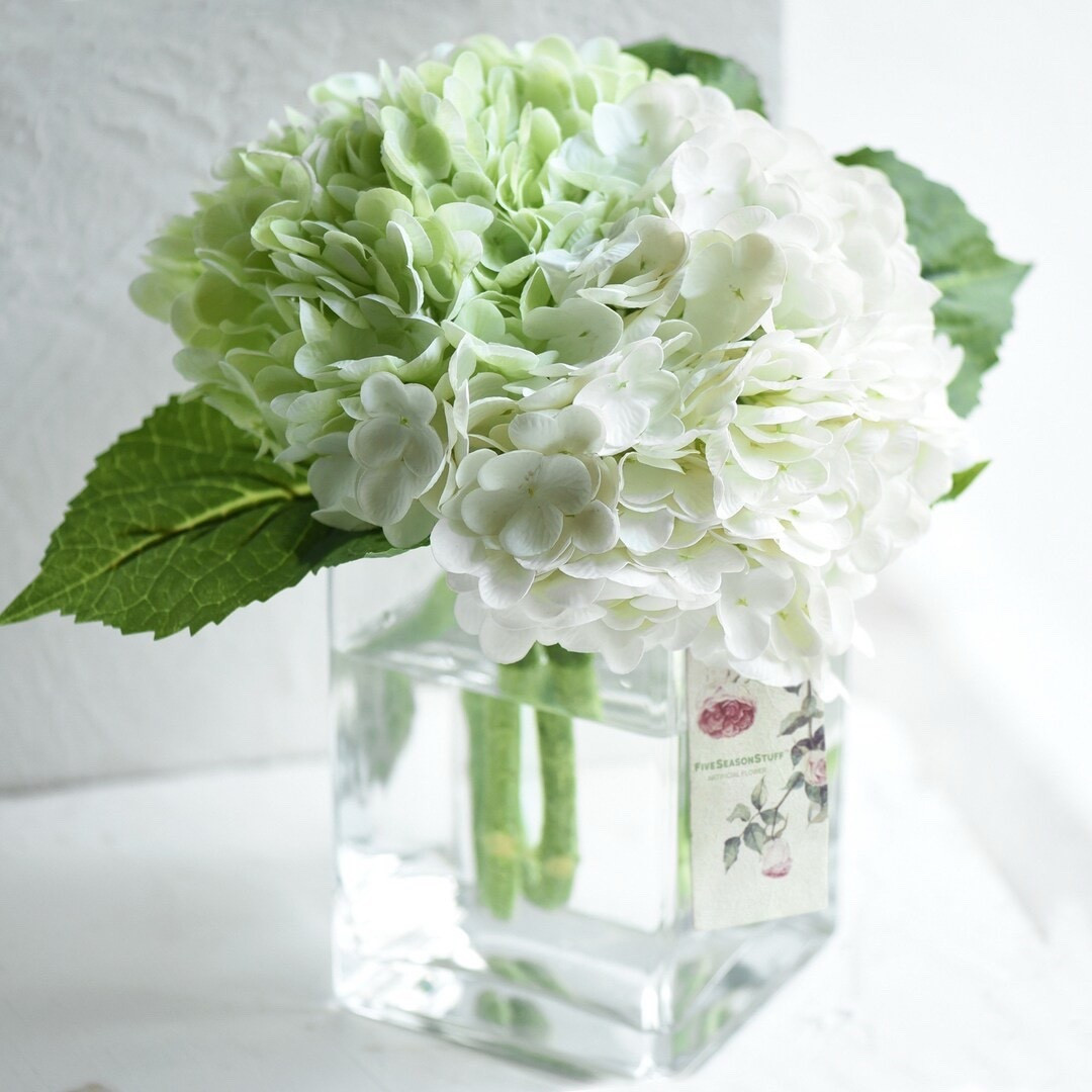 These ultra-realistic hydrangeas are a dream for crafting, decorating, and event styling 🌸 Designed at a true 1:1 scale with lifelike petal textures and realistic stems, they look and feel incredibly close to fresh blooms—without the upkeep. Easy to clean, versatile for weddings, home décor, and DIY floral projects, and even gift-wrap ready, they’re a beautiful go-to for creating arrangements that last.
#LTKfinds #EtsySupplies #ArtificialFlowers #HydrangeaDecor #WeddingFlowers #DIYFloral #HomeDecorIdeas #EverlastingBlooms

#LTKSeasonal #LTKHome #LTKHoliday