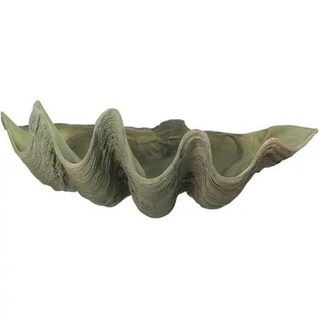 Lifelike Cast Polyresin Giant Clam Shell Decorative Bowl | Walmart (US)