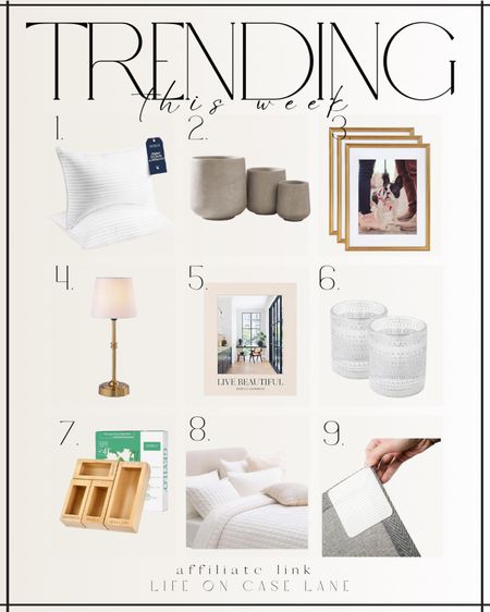 Trending In home - pillows, planters, frames, cordless lamp, coffee table book, drinking glasses, drawer storage, velvet quilt, bedding, rug grippers 

#LTKhome