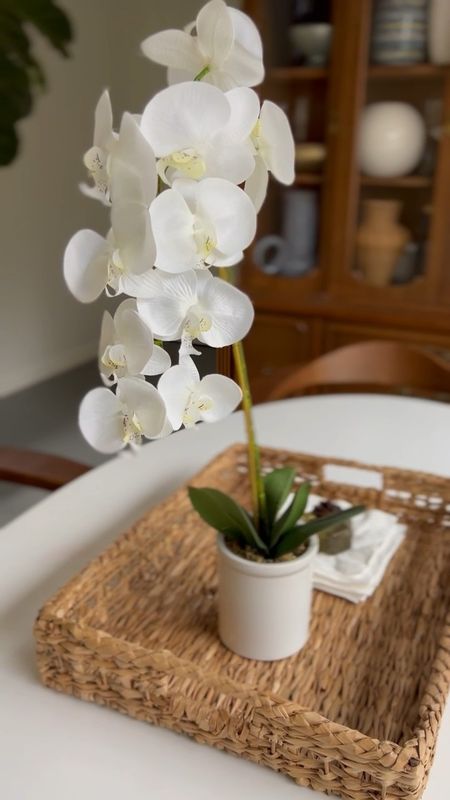 This faux orchid is beautiful and only $15! Style it in any area to bring in a little greenery ✨

Target, target home, faux florals, faux orchid, seasonal florals, budget friendly home decor, living room, entryway, sunroom, dining room, bedroom, table decor, bookcase decor, modern home decor, traditional home decor, interior design, style tip

#LTKSeasonal #LTKhome #LTKstyletip
