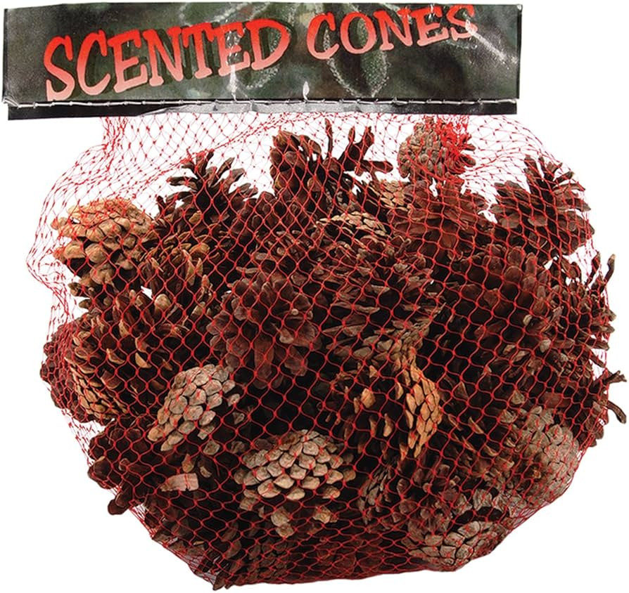 Winter Woods Cinnamon Scented Pine Cones Small Mix 1 Lb/Pkg-Natural | Amazon (US)