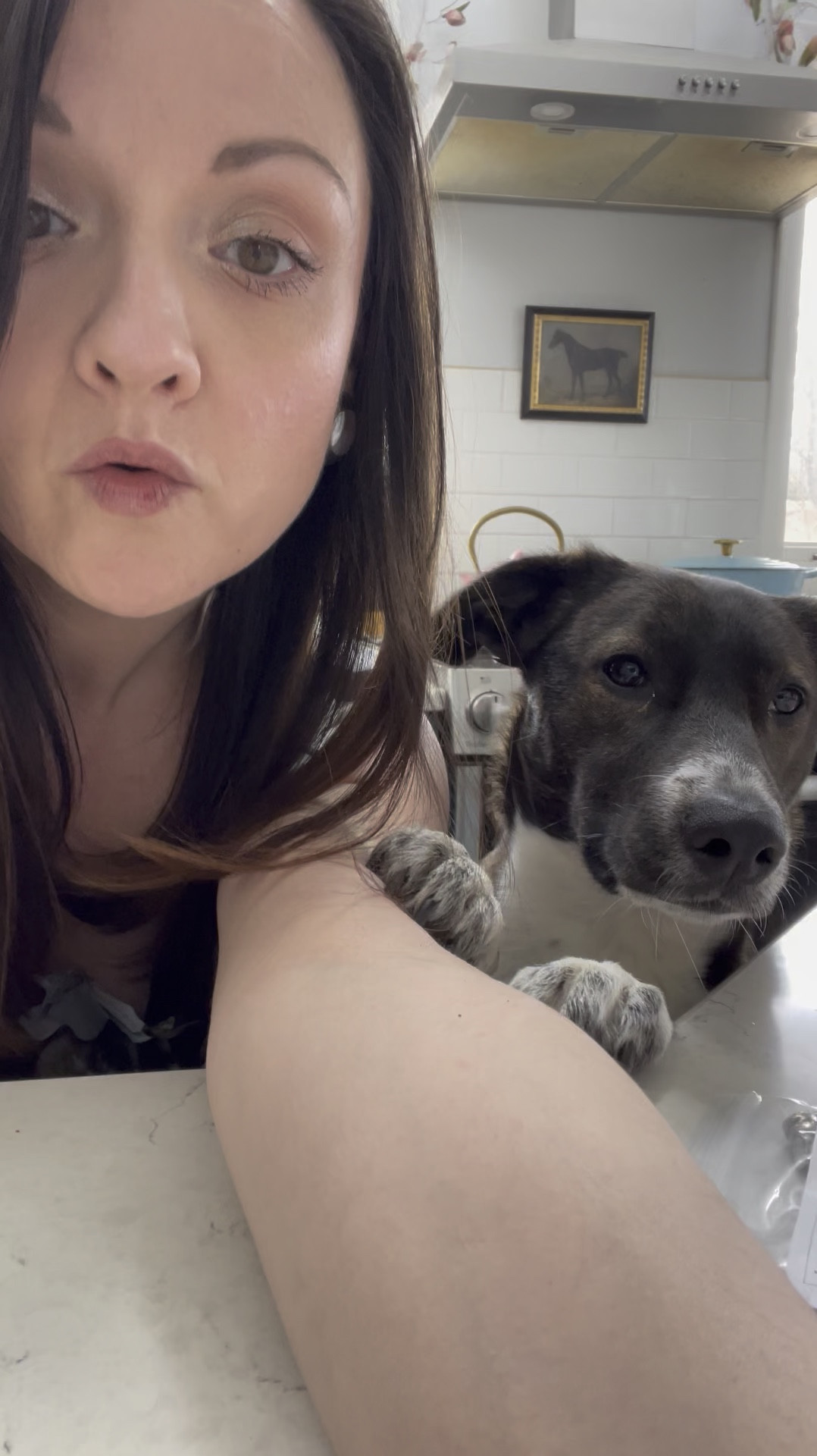 In this weeks episode of peek-a-boo joy: hinge head toppers! 

Home decor, cute home decor, aesthetic home decor, tiny home decor, Amazon favorites, Amazon finds, Etsy favorites, Etsy finds 

#LTKHome #LTKFindsUnder50 #LTKFindsUnder100