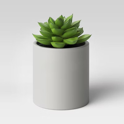 Succulent in Cement Pot - Project 62™ | Target