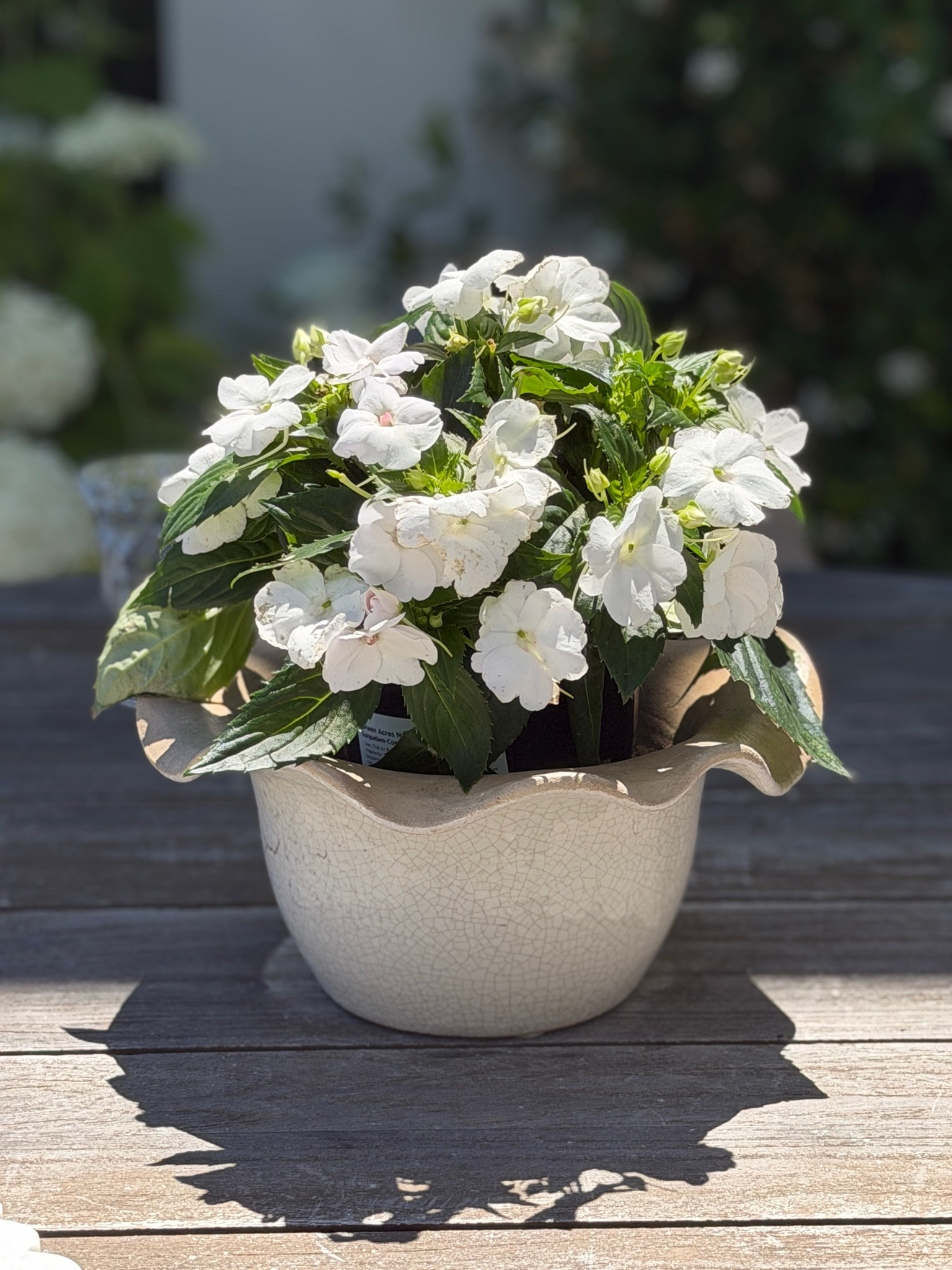 This is my new favorite planter!  Comes in two sizes!

#LTKmomlife #LTKHome