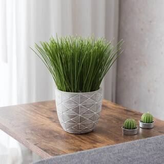 Indoor Tabletop Artificial Grass in Geo Cement Pot 10013 | The Home Depot