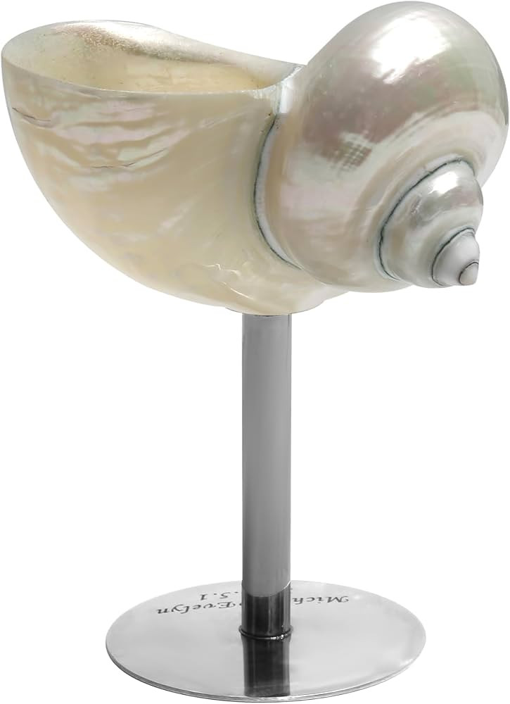 Seashell Wine Glasses Silver Cocktail Glasses Beach Wine Glasses Beach Wedding Champagne Glasses ... | Amazon (US)