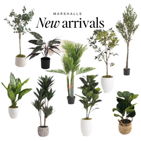 New drops: Large Faux Trees and Plants 

Good deals to be had. Fill up that empty corner, you know the one...

Marshalls just dropped a ton of new finds, so be sure to check out my other spring posts today- you're not gonna want to miss it. 

Follow @howtoloveyourhouse for daily shopping trips, more sources, & daily inspiration 

coastal finds, chinoiserie, blue and white, neiman marcus, nordstrom, belk, modern, bold, pop of color, anthro, anthropologie, home goods, marshalls, bloomingdales, serena lily, tabletop, table setting, set the table, summer decor, entertaining inspo, weekend sale, studio mcgee x target new arrivals, coming soon, new collection, fall collection, console table, bedroom furniture, dining chair, counter stools, end table, side table, nightstands, framed art, art, wall decor, rugs, area rugs, target finds, target deal days, outdoor decor, patio, porch decor, sale alert, pool decor, tj maxx, pillows, throw pillow, outdoor entertaining, patio inspo, outdoor furniture, coastal grandmother, amazon home, world market, ballard designs, opalhouse, wayfair finds, high end look for less, studio mcgee, target home, boho, modern coastal, grandmillenial, hearth and hand. Pb, pottery barn, crate and barrel, cane furniture, rattan, wicker


#LTKSeasonal #LTKfindsunder100 #LTKhome