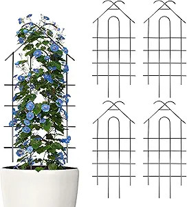 ARIFARO 24'' Metal Garden Trellis for Climbing Plants, Indoor/Outdoor Sturdy Plant Trellis for Po... | Amazon (US)