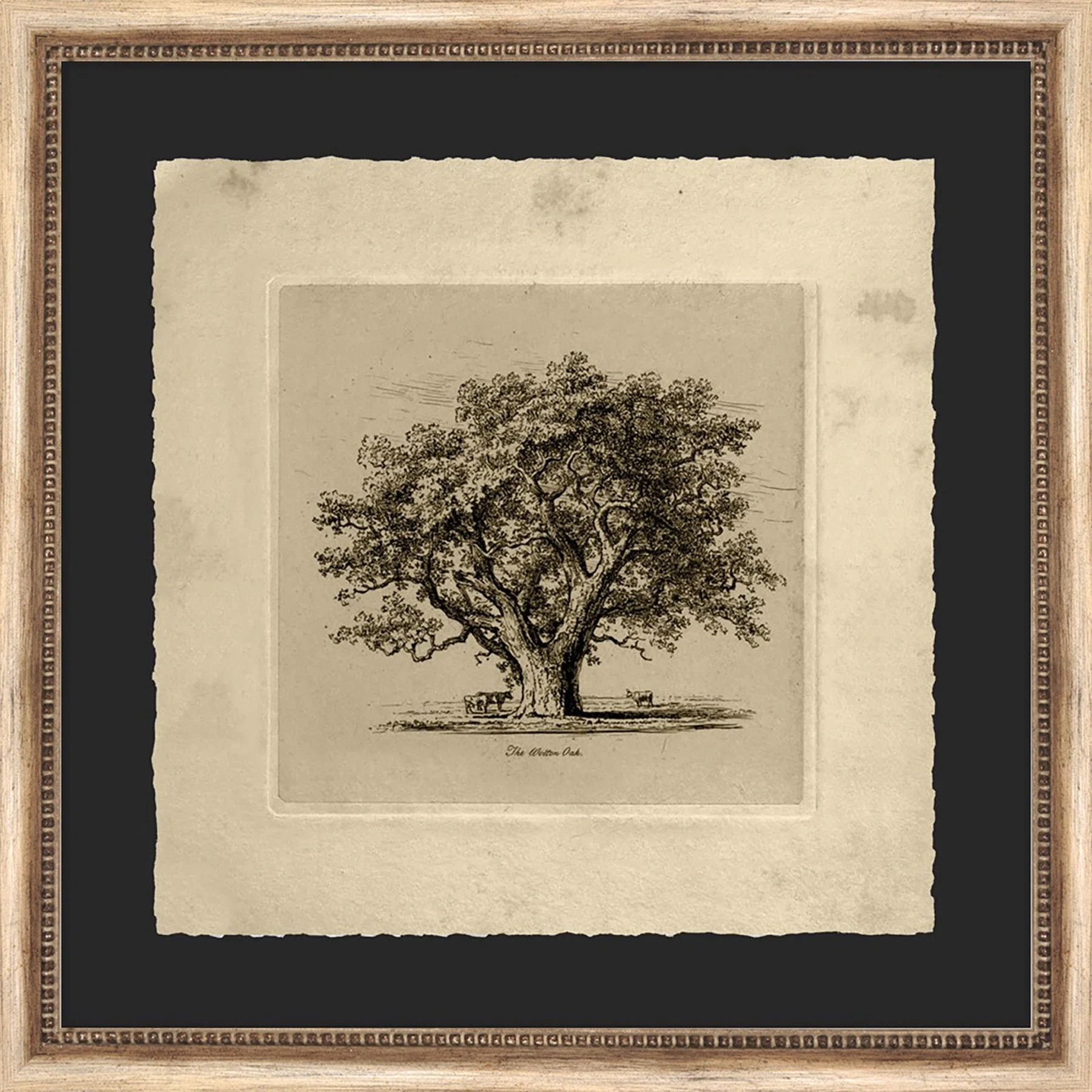 Wendover Art Group The Wolton Oak - Picture Frame Painting on Paper | Perigold | Perigold