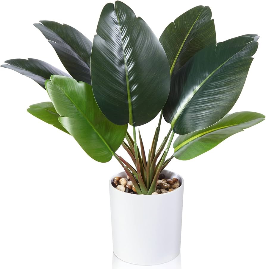 Kazeila Artificial Bird of Paradise Palm Plant 16 Inch Fake Potted Desk Plant for Indoor Decorati... | Amazon (US)