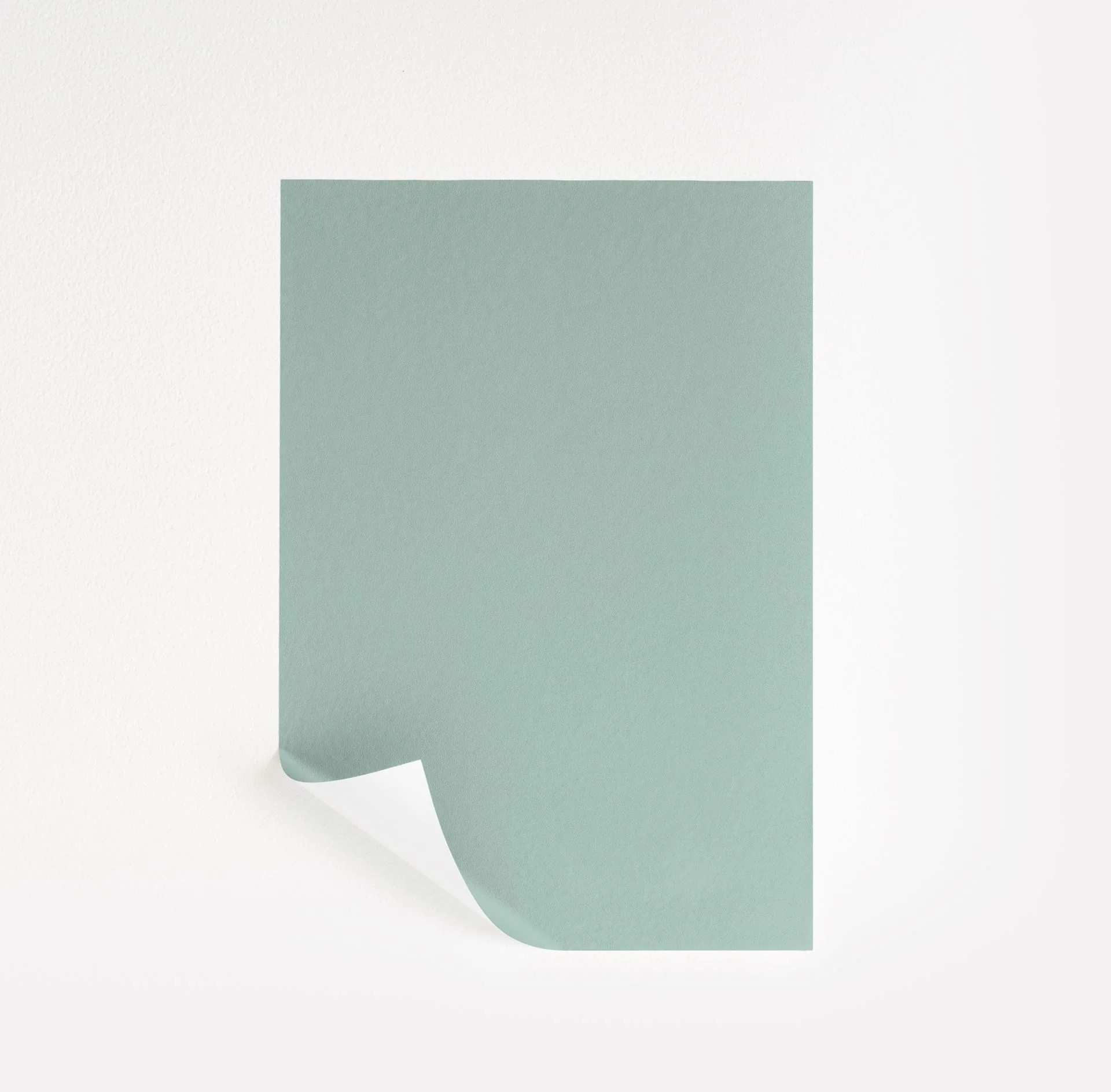 Warm Springs  Paint Sample | Samplize