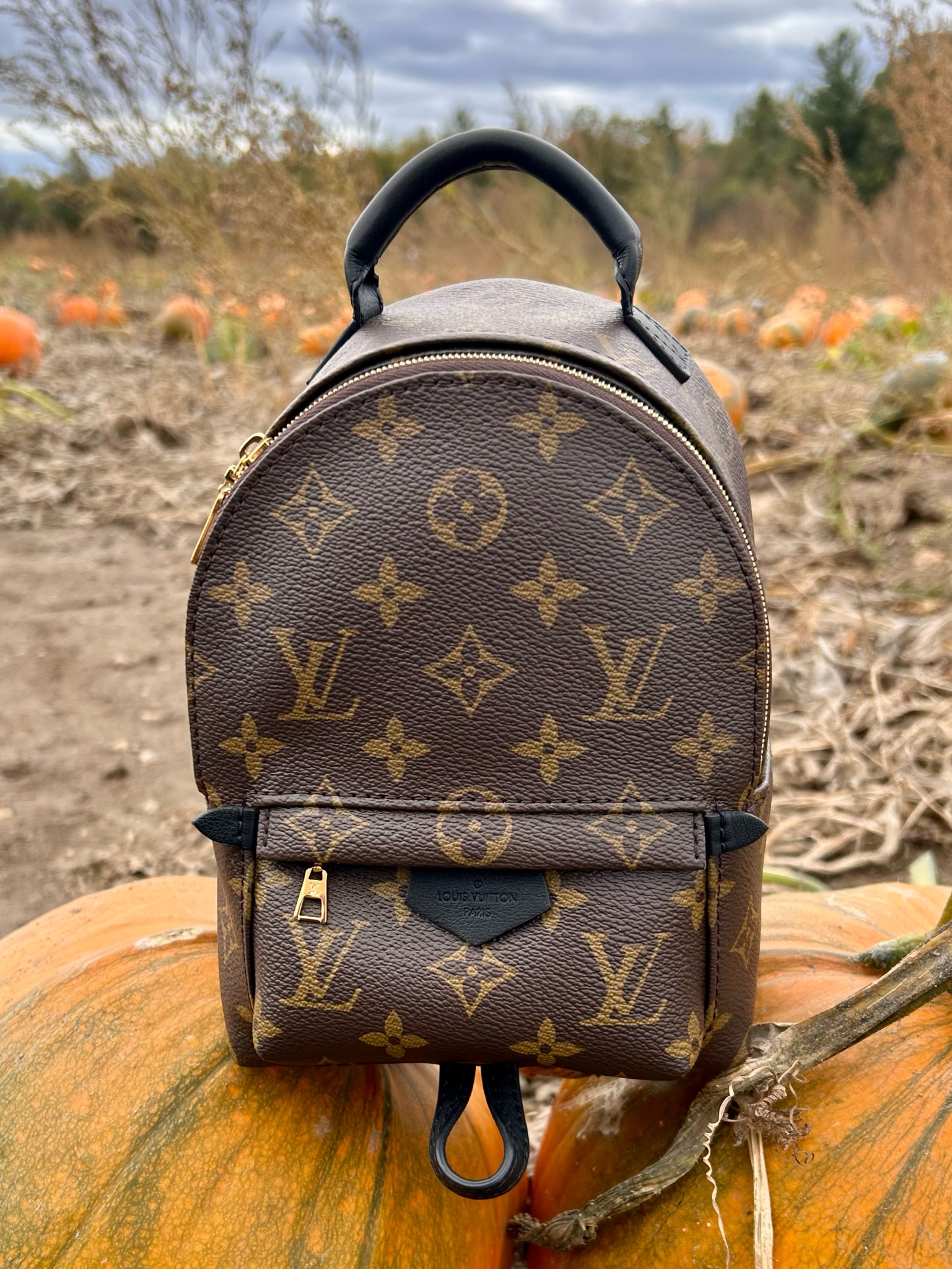 Louis Vuitton Palm Springs Mini 

#LTKSeasonal #LTKStyleTip #LTKItBag