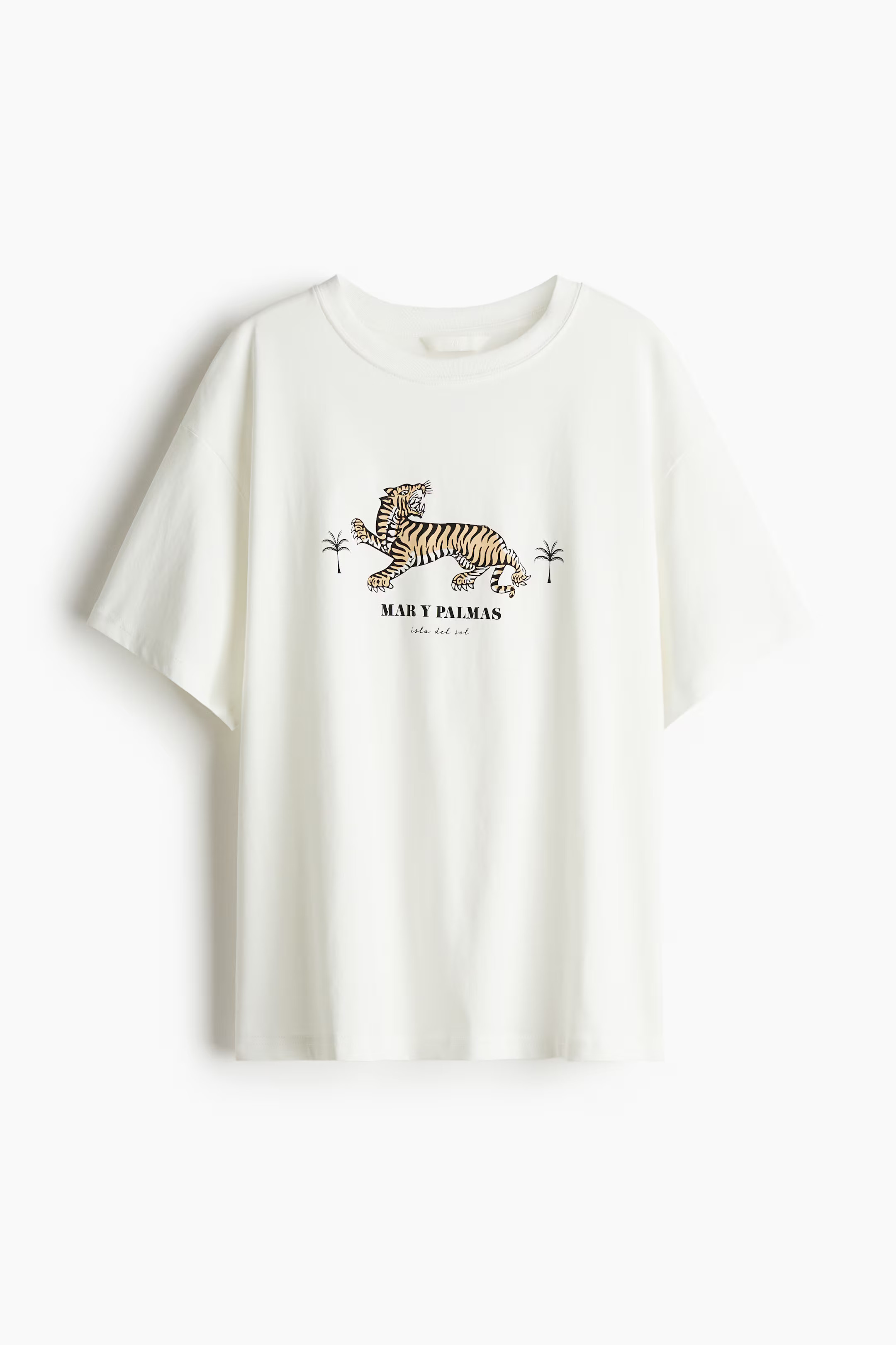 Oversized T-Shirt | H&M (US + CA)